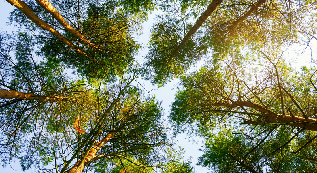 Financing the future: investment for climate goals