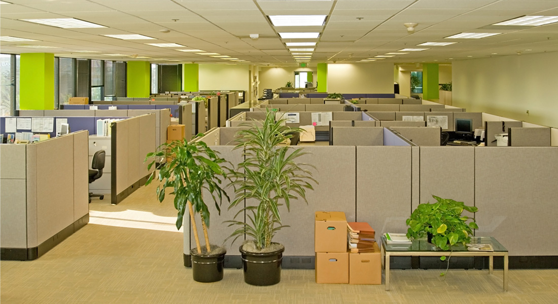 Inteb’s special energy recognition helps office owners reach environmental goals