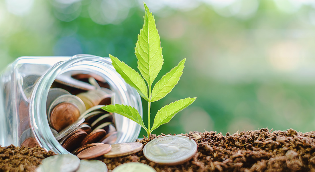 Are sustainable (low carbon) businesses more profitable?