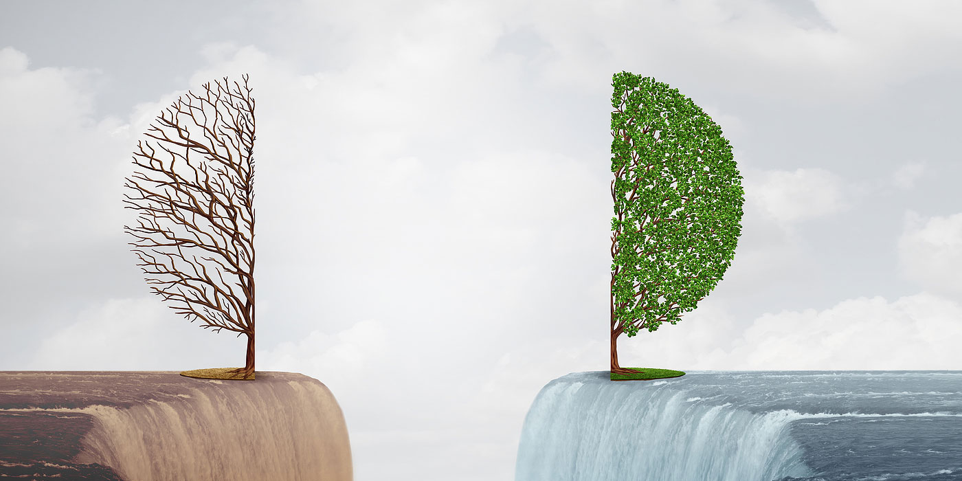 COP28: A Turning Point for Climate Action? A Business Energy Market Perspective