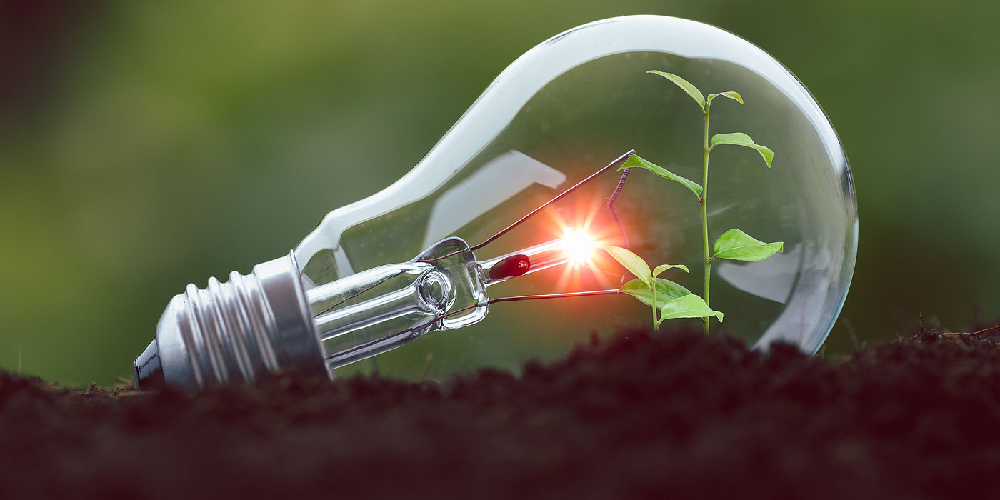 The Top Trends in Renewable Energy for Commercial Customers