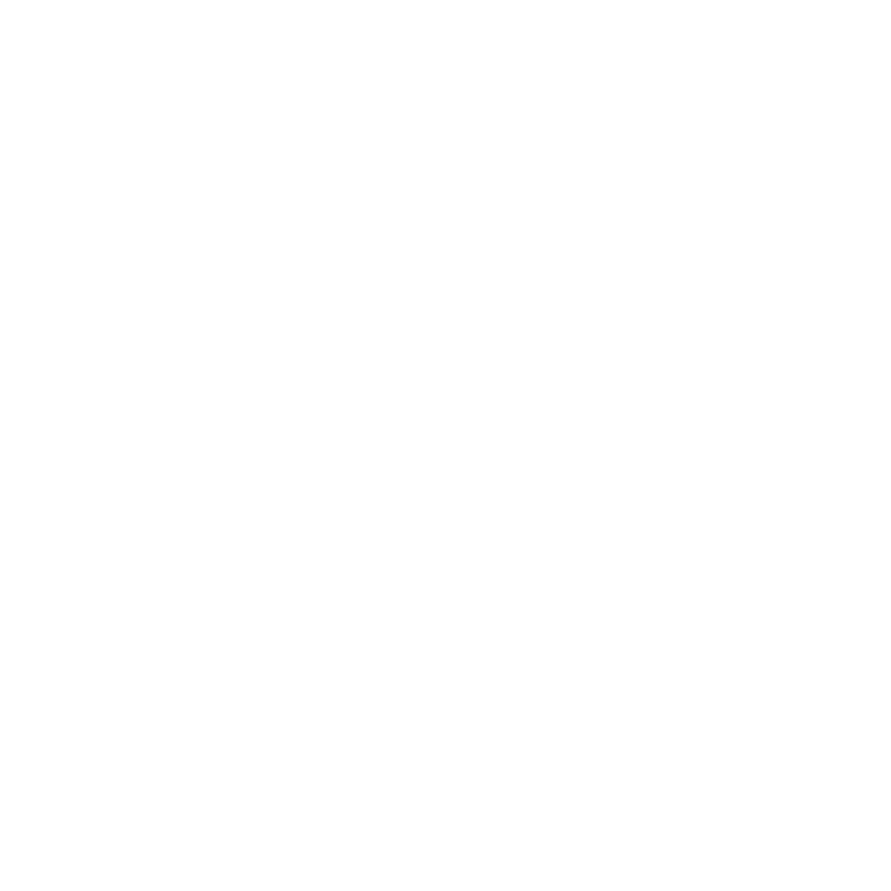 FNZ Standard Logo