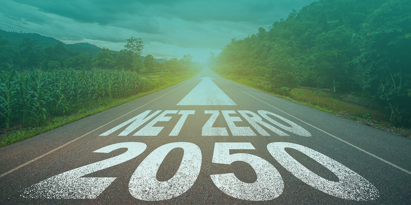 Overcoming Challenges on the Path to Net Zero: Insights for the Real Estate and Corporate Energy Sectors