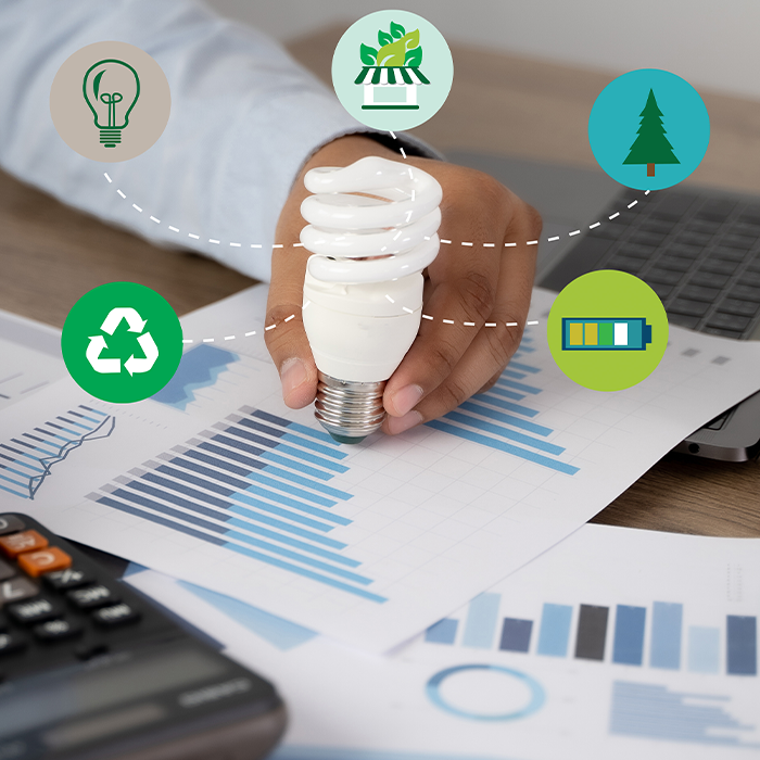 Person holding an energy-efficient bulb over sustainability charts, symbolising SECR compliance and carbon reporting.