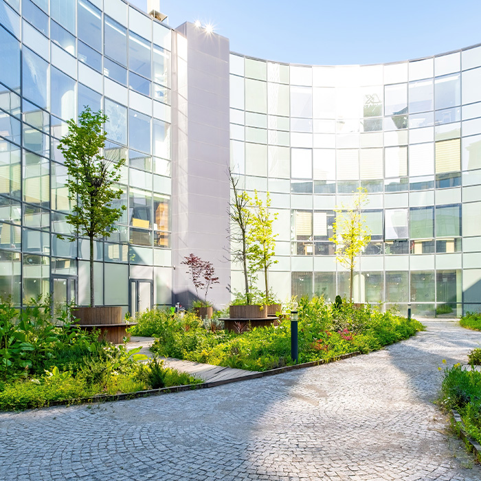 Sustainable office courtyard designed with net zero procurement outcomes in mind.
